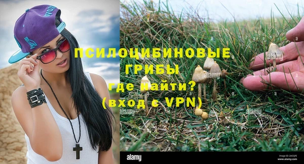 дживик Зеленокумск